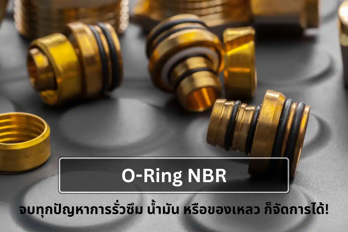 O-Ring NBR จบทุกปัญหาการรั่วซึม