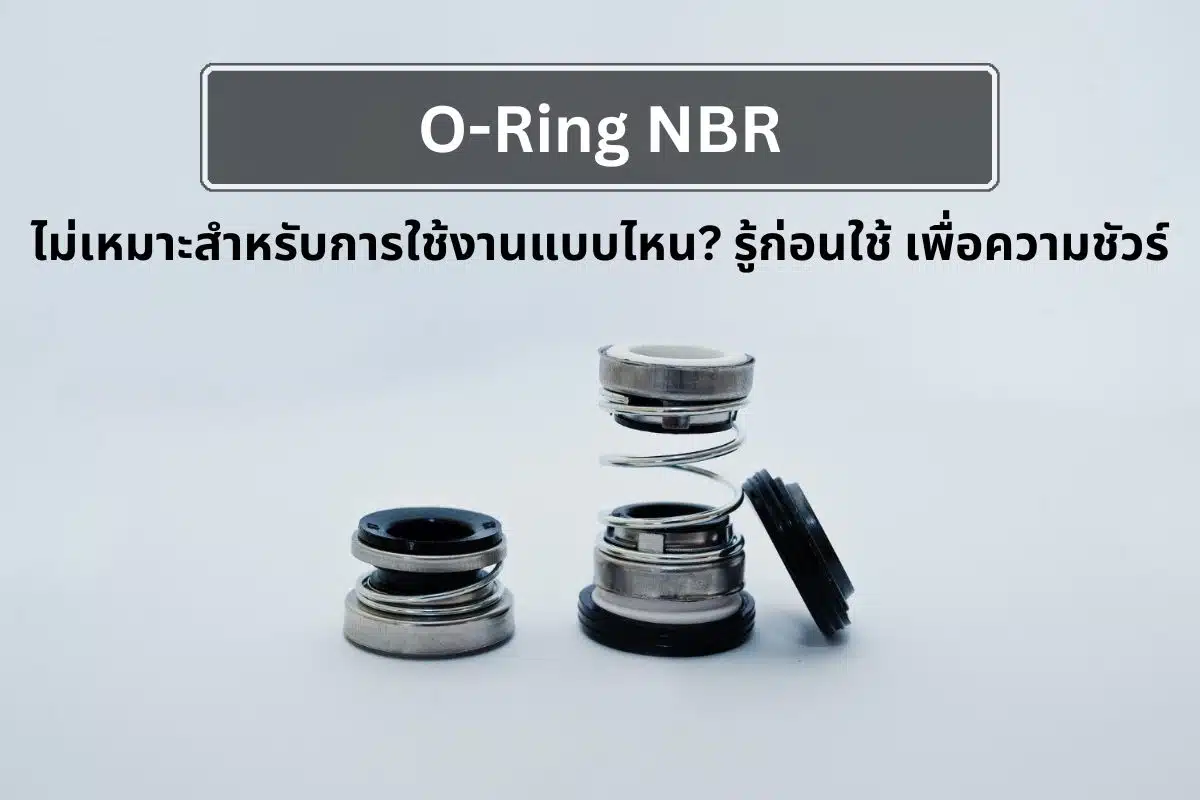 O-Ring NBR ไม่เหมาะสำหรับการใช้งานแบบไหน